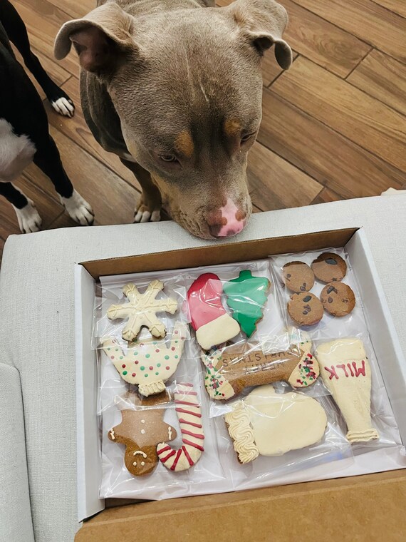 Assorted Christmas Dog Treats Christmas Treats Gifts for Dogs Christmas Gifts Personalized Gifts Santa Paws Frosted Dog Treats Etsy Canada