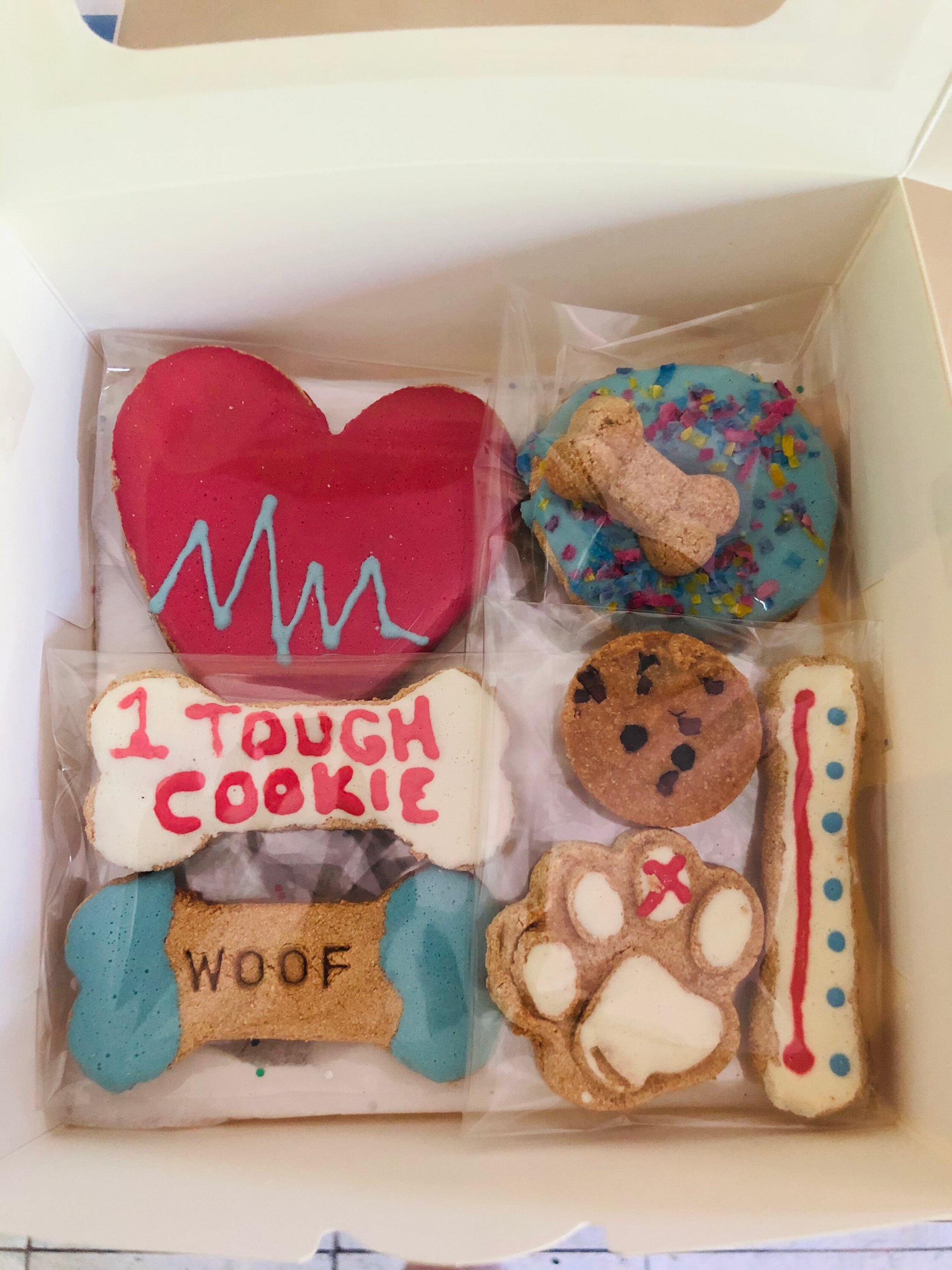 Get well soon dog cookie treat box care package feel better Etsy
