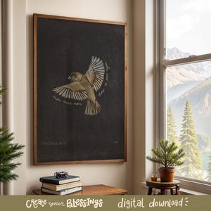 May include: A framed wall art print featuring a sparrow in flight against a dark charcoal background. The text reads, "how much more does He love you" and "MATTHEW 10:31". The bird has brown, tan, and white feathers with wings spread wide in a detailed illustration.