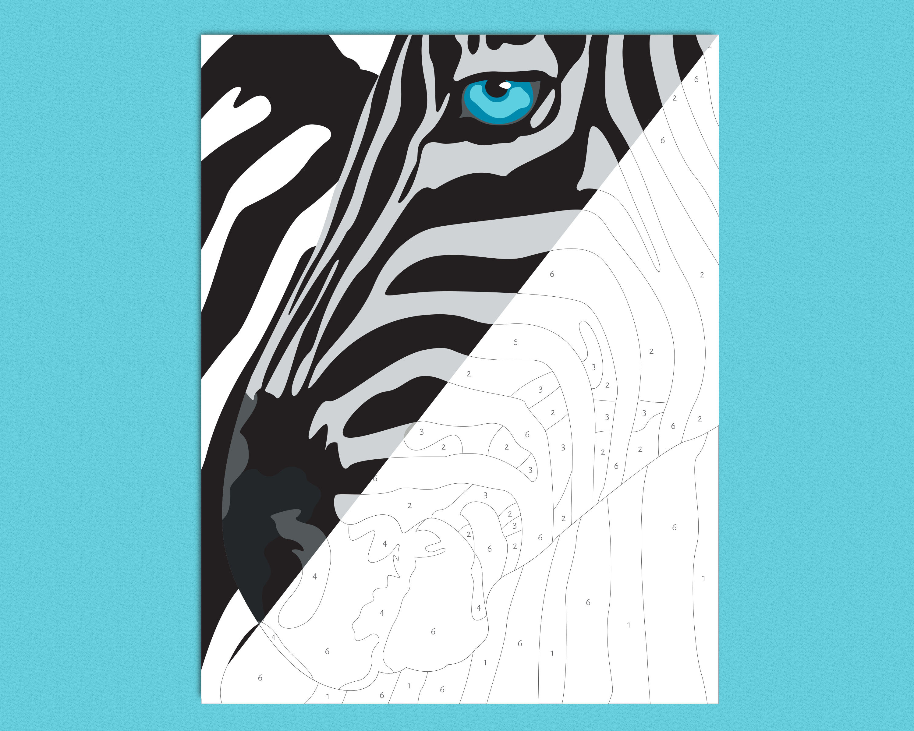 Zebra Paint By Number Printable Coloring Page Printable Color Etsy