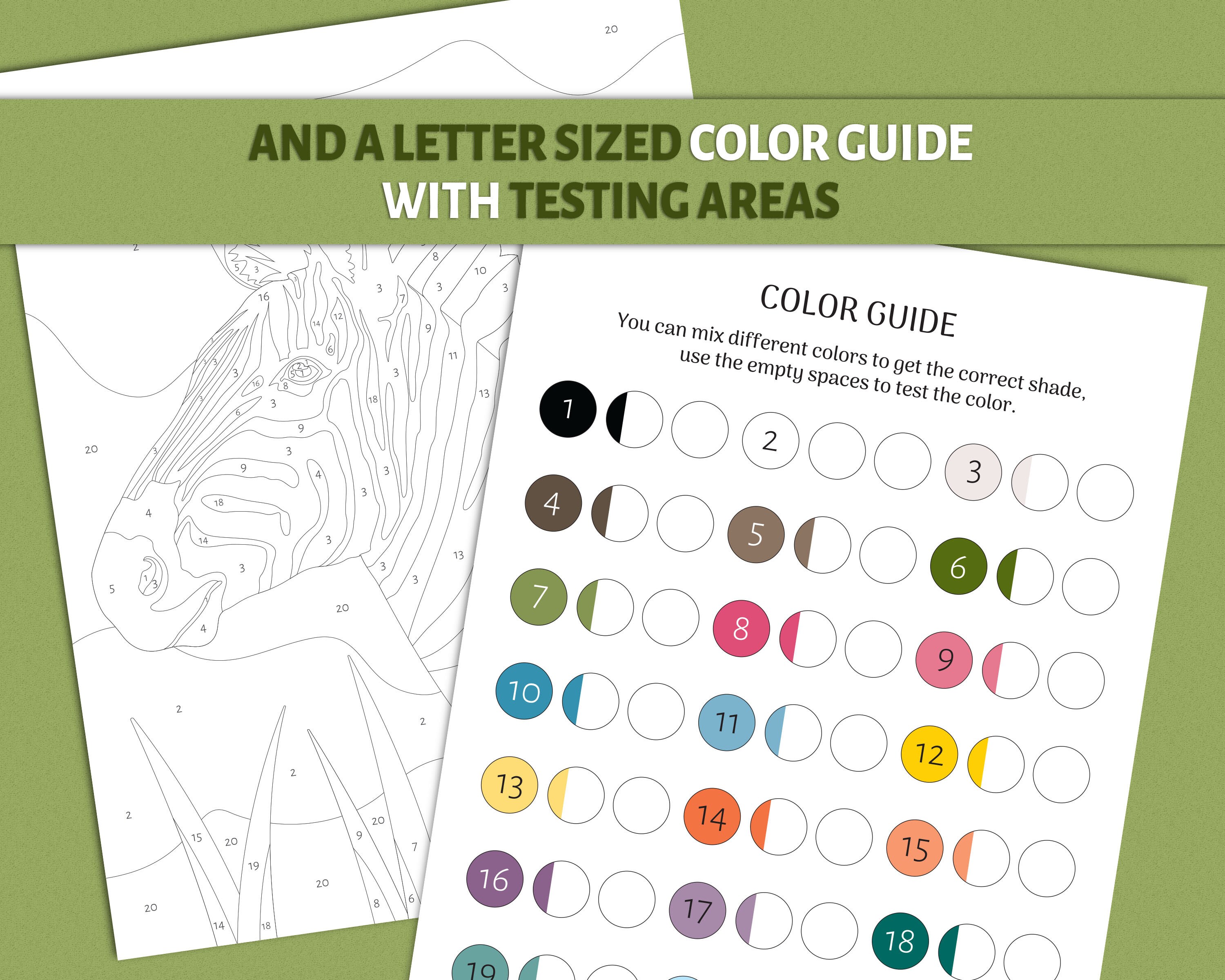 paint by number printable coloring page printable zebra color etsy
