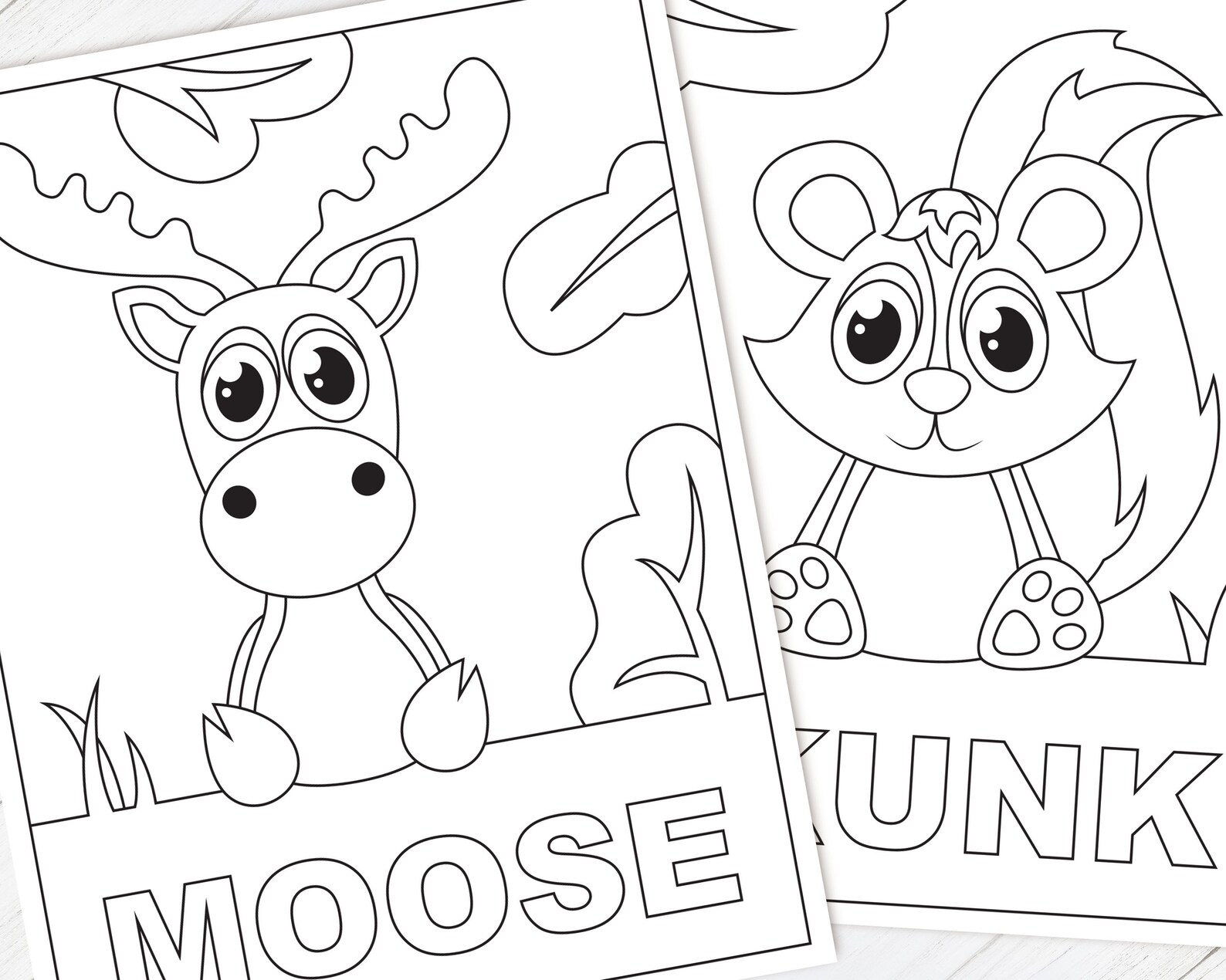 Woodland Animal Coloring Pages Download Forest Coloring Book | Etsy