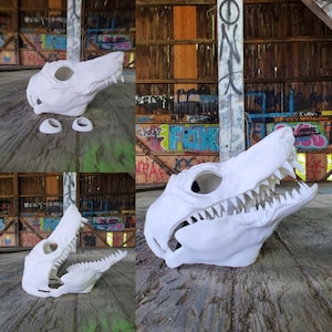 May include: A white, detailed dinosaur skull mask with sharp teeth and eye sockets. The mask is shown in multiple views, including a full frontal and side profile. Two smaller white pieces are also present.