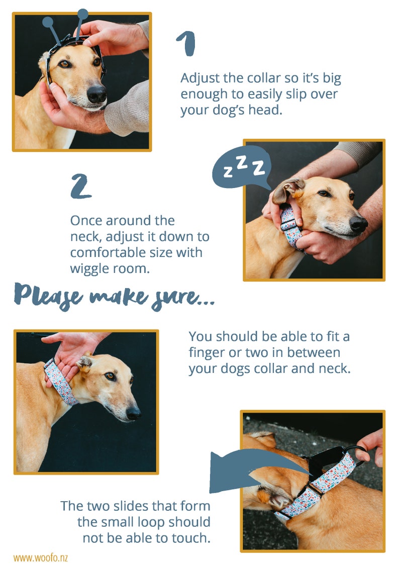 Halloween Martingale CollarGreyhound Collar Spooky Night