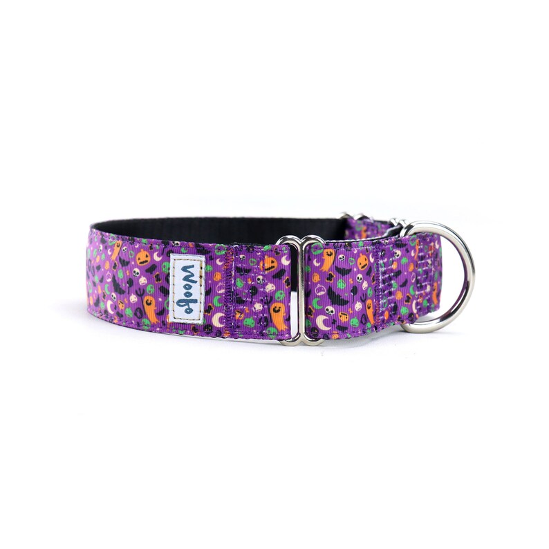 Halloween Martingale CollarGreyhound Collar Spooky Night