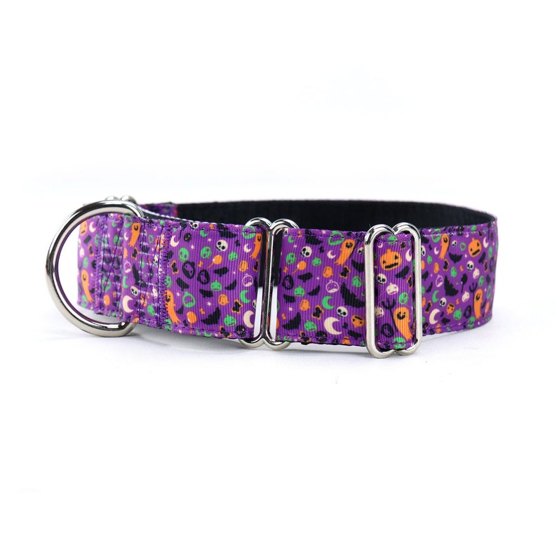 Halloween Martingale CollarGreyhound Collar Spooky Night