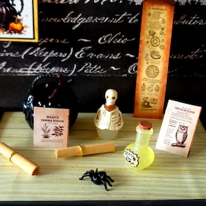 May include: A miniature collection featuring a black cauldron, a skeleton figurine, a yellow potion bottle labeled Dragon Scales, two rolled parchment scrolls with gold rings, a black plastic spider, and two small printed cards with text and illustrations.