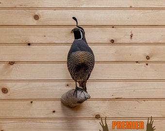 Vintage 1991 Fred Sweney Gambel/'s Quail Formcraft Vacuum Form 3D Print