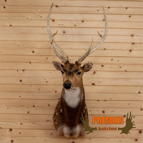 Taxidermy Supplies Taxidermy Stand 3 axis mounting stand large Hunting Taxidermy