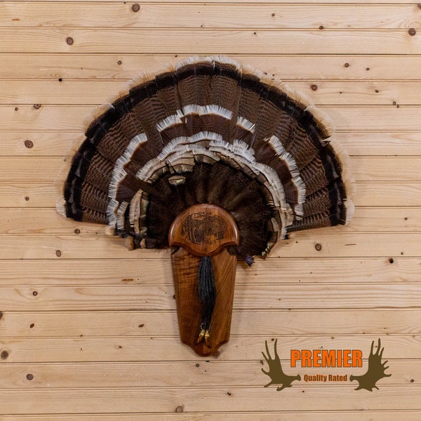 Turkey Fan Mount Etsy