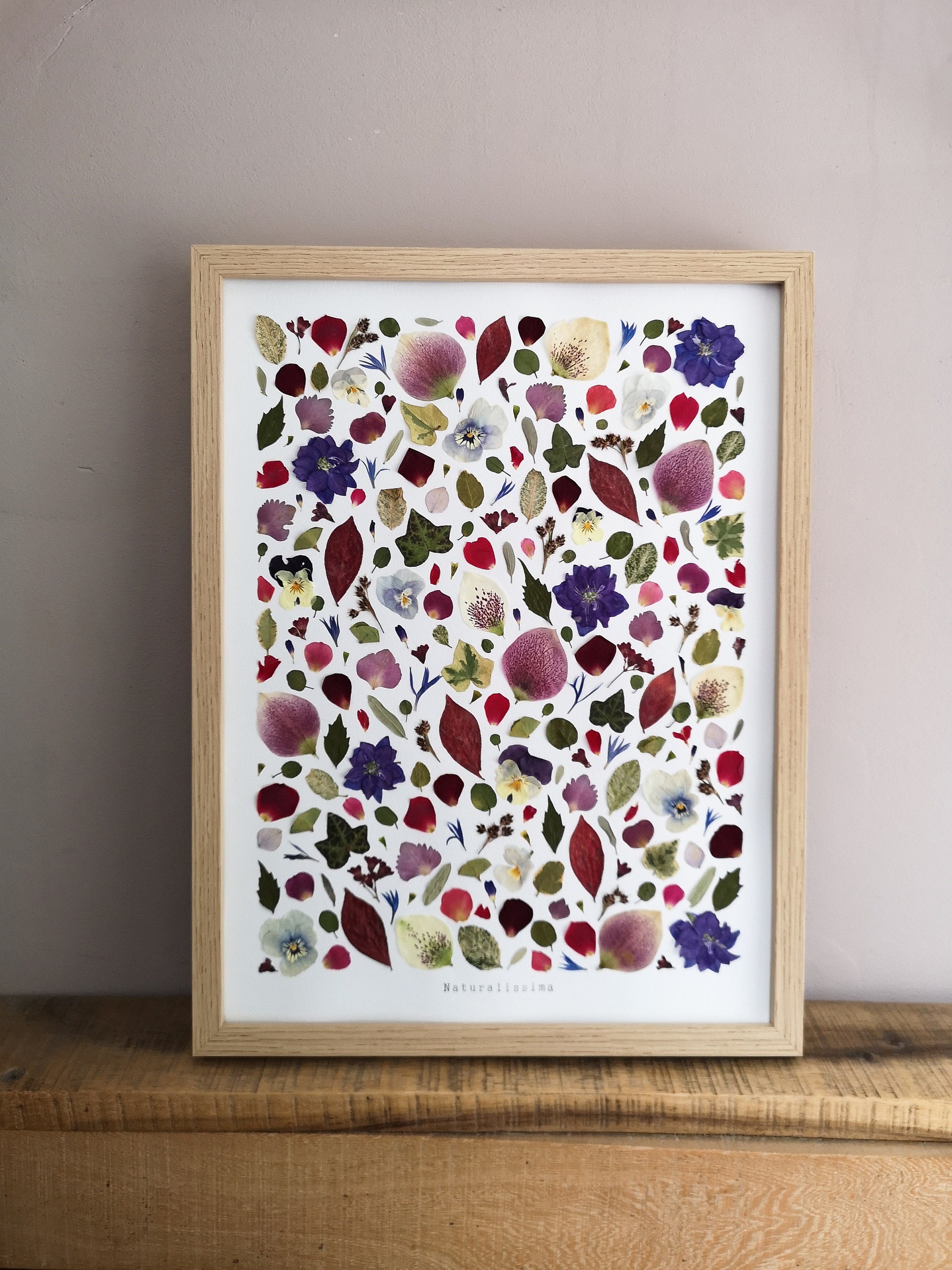 Herbier de Fleurs Séchées - Herbier Encadré -Naturalissima N174 Herbarium