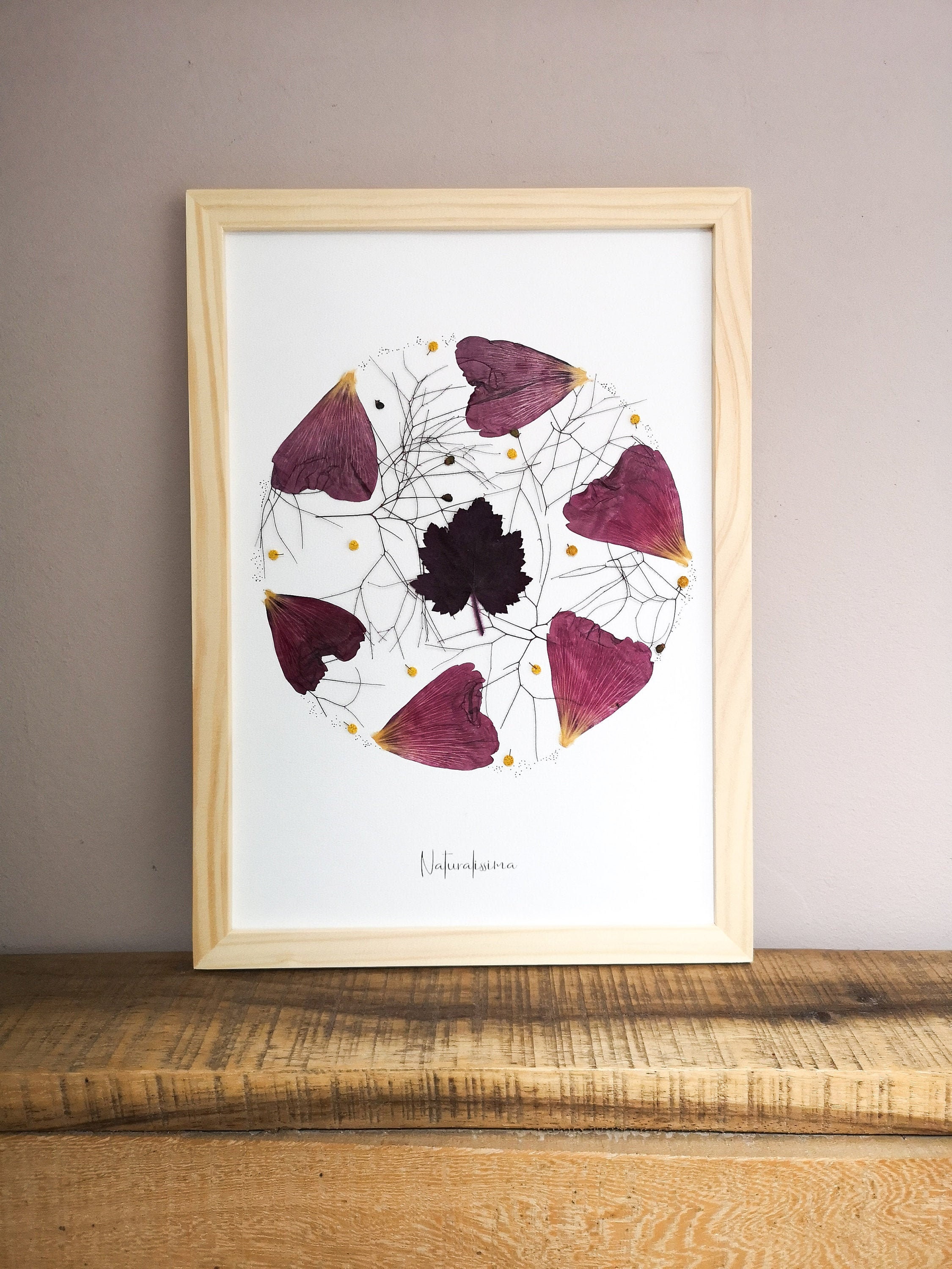 Herbier de Fleurs Séchées - Herbier Encadré -Naturalissima N119 Herbarium