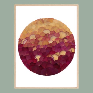 Poster Art print Herbarium Sun pressed flowers A4