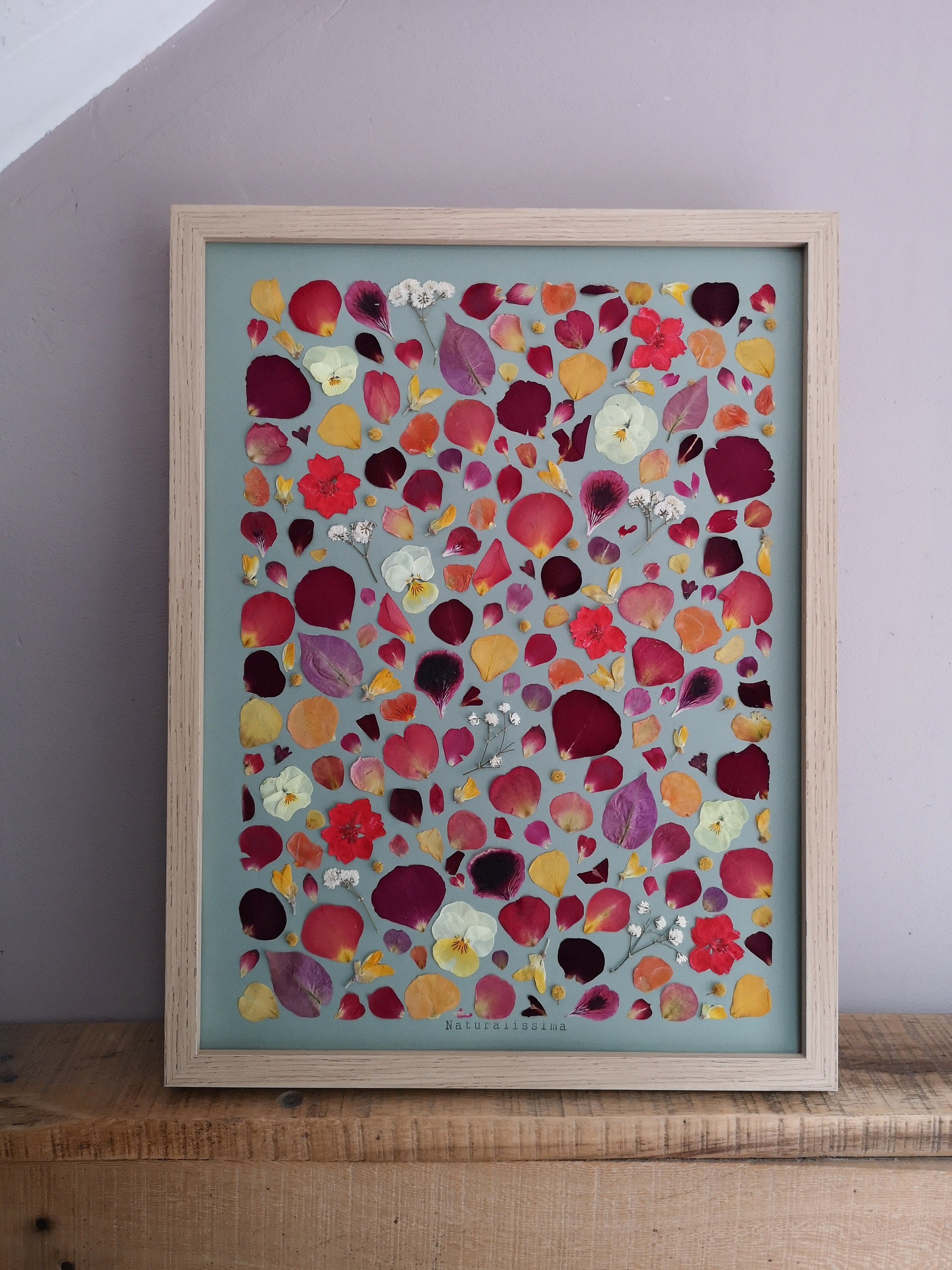 Herbier de Fleurs Séchées - Herbier Encadré -Naturalissima N177 Herbarium