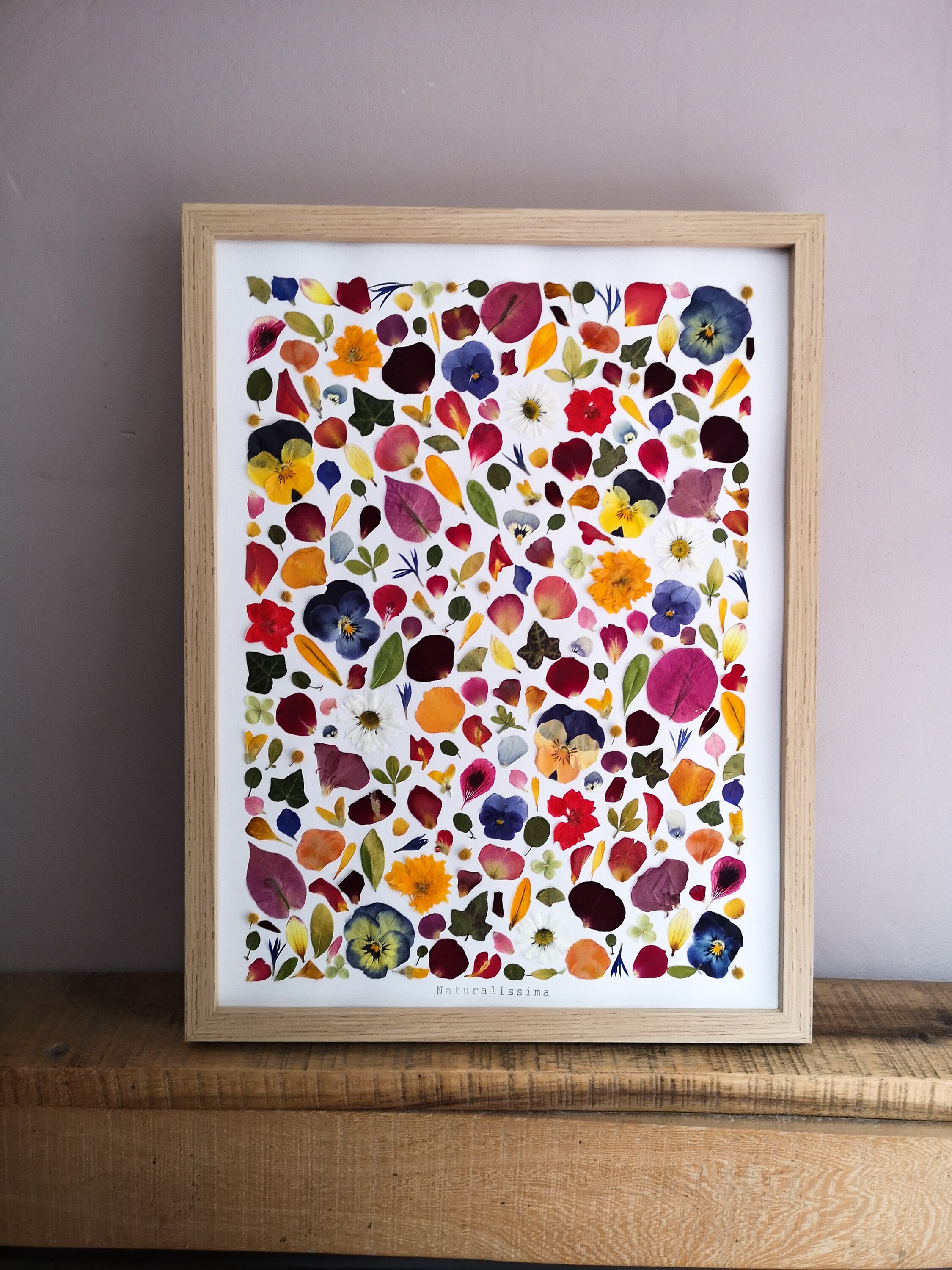 Herbier de Fleurs Séchées - Herbier Encadré -Naturalissima N178 Herbarium