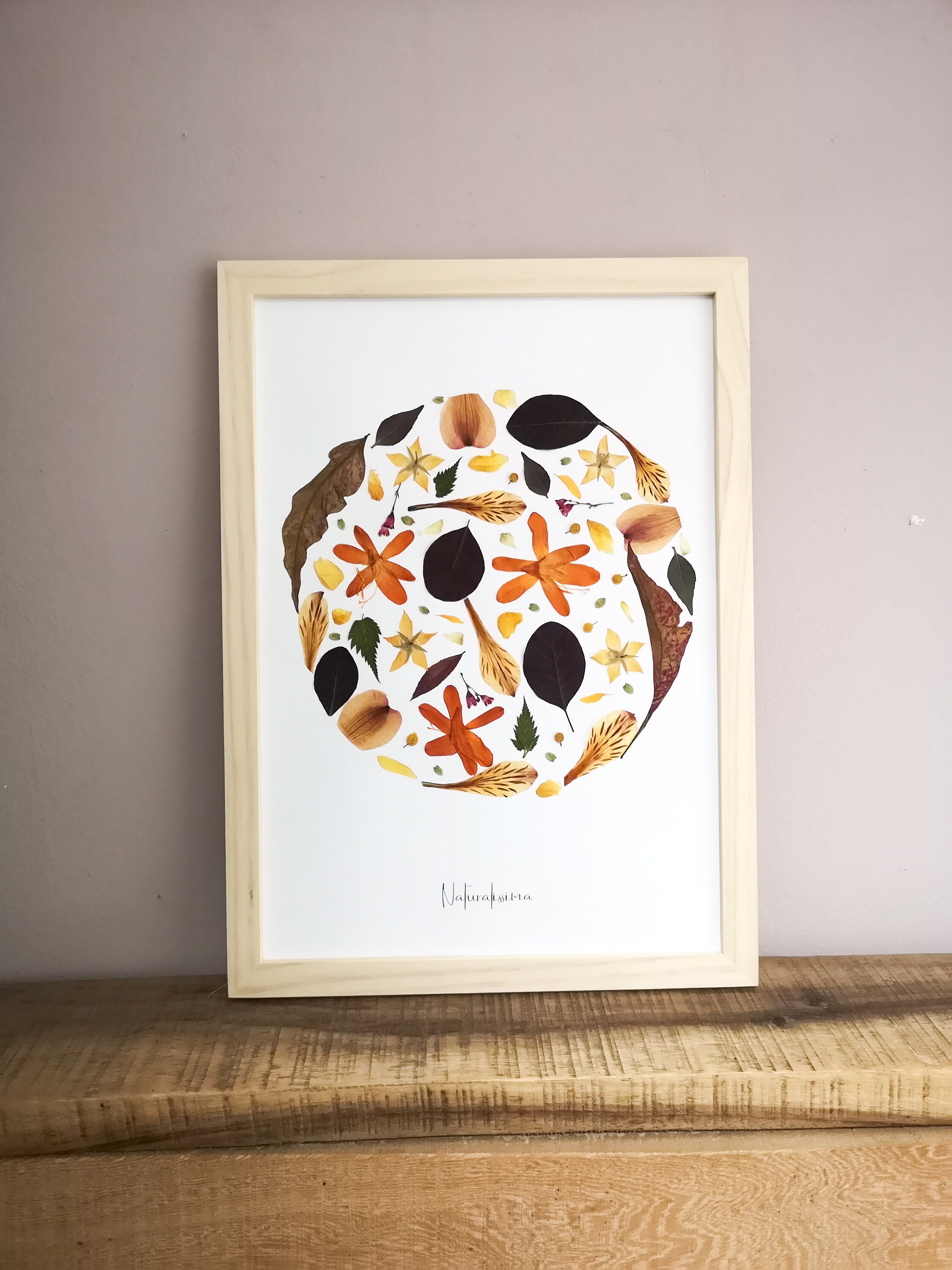 Herbier de Fleurs Séchées - Herbier Encadré -Naturalissima N159 Herbarium