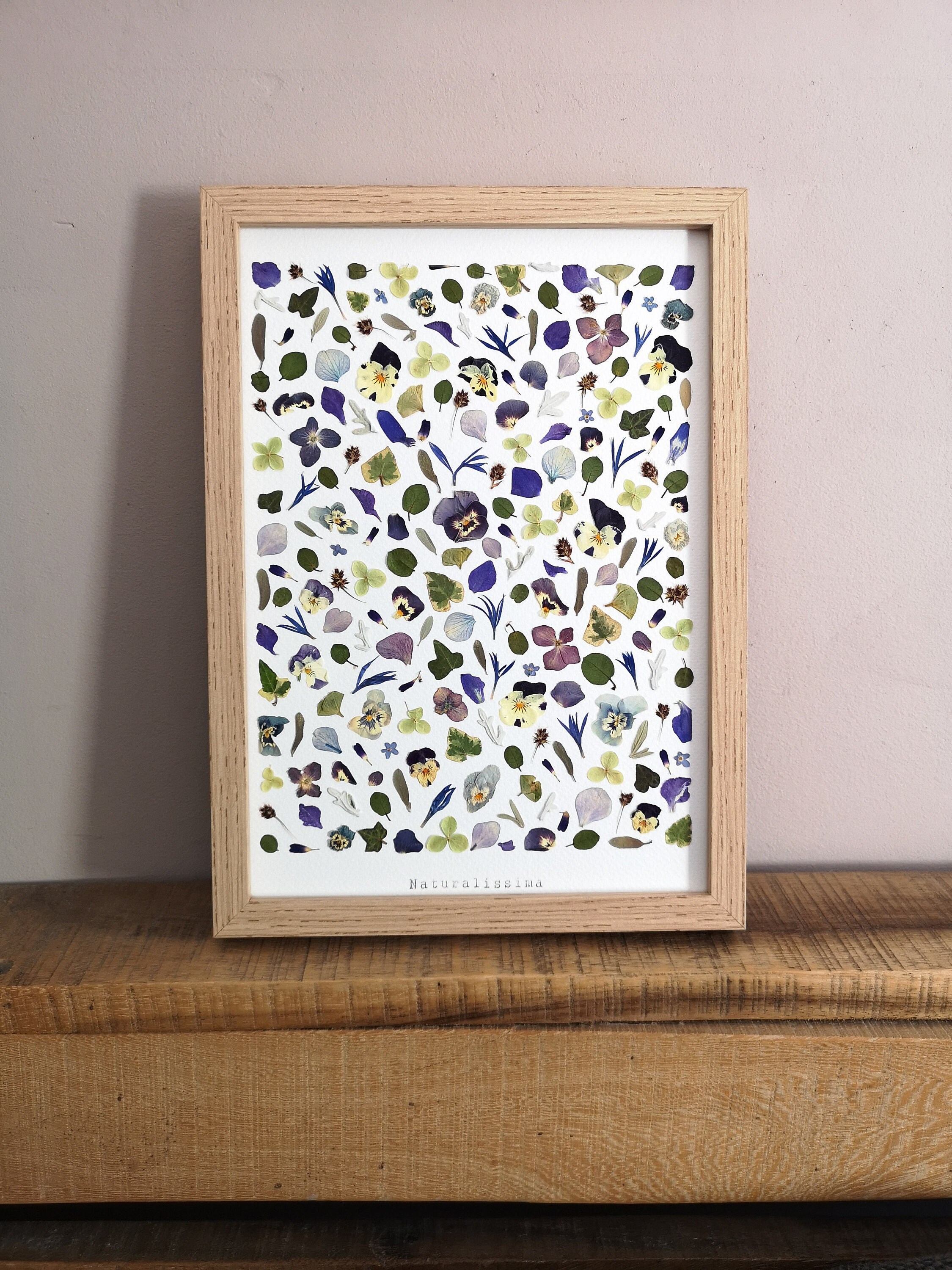Herbier de Fleurs Séchées - Herbier Encadré -Naturalissima N176 Herbarium