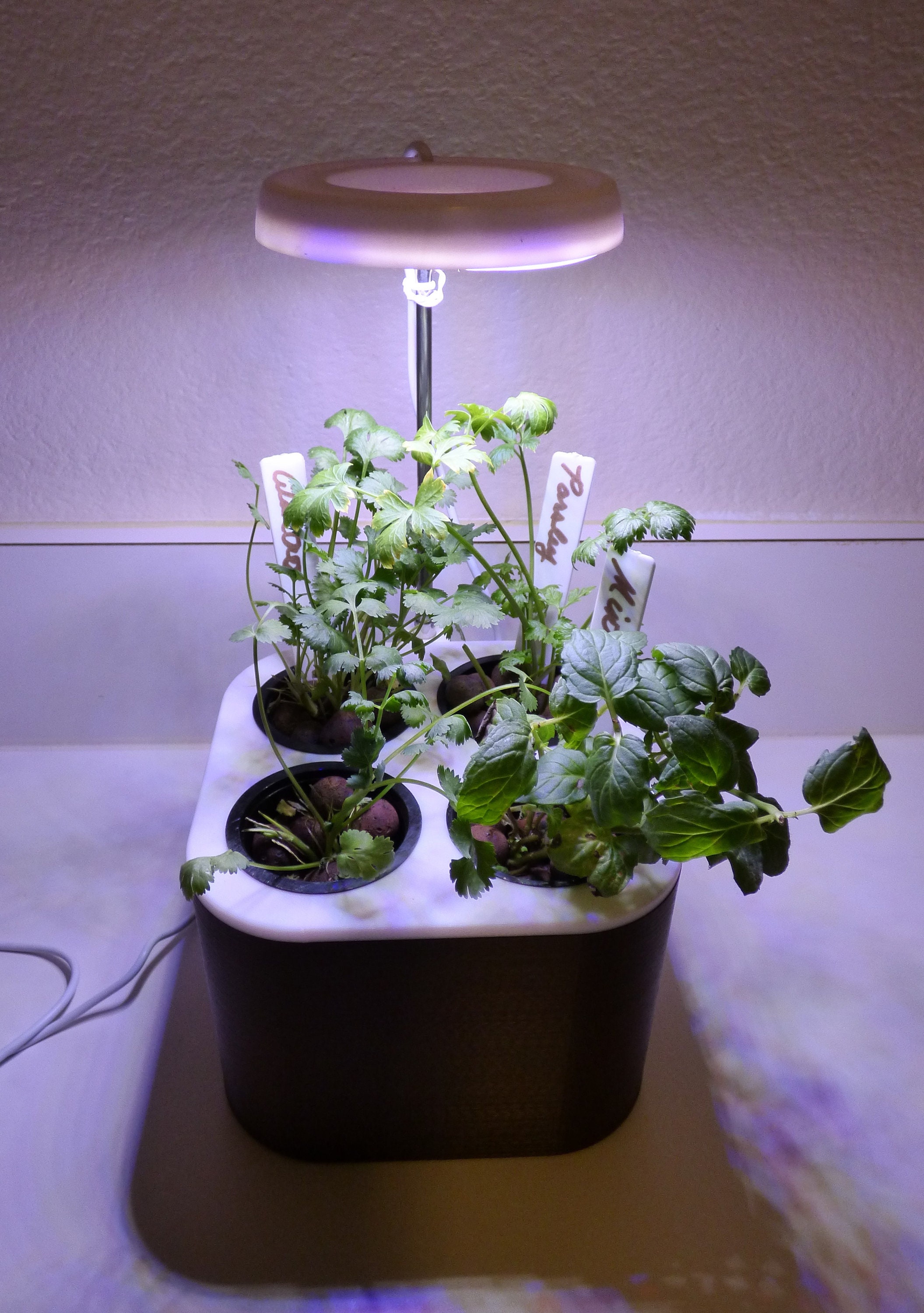 Countertop Hydro Garden - Etsy
