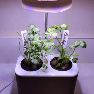 Countertop Hydro Garden