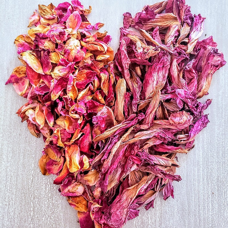 Dried Flower Petals Etsy — free download
