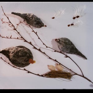 For the Birds - Feed n Seed,  8x10 Stretched Canvas Art