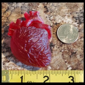 Rare Earth Magnet - Bloody Human Heart