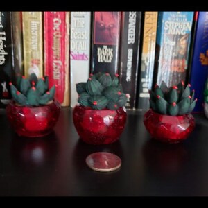 May include: Three small red pots with green succulent plants. The pots are sitting on a black surface in front of a bookshelf.