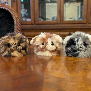 Op de afbeelding: Drie pluche puppy's. De eerste is bruin en zwart, de tweede bruin en wit en de derde grijs en zwart. Ze staan op een houten tafel.