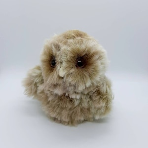 PATTERN ONLY Crochet Plush Amigurumi Owlet Pattern Only image 7