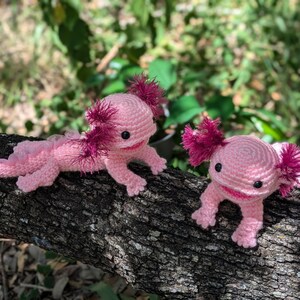 Może przedstawiać: Dwa r&oacute;żowe pluszowe aksolotl szydełkowe z r&oacute;żowymi i białymi detalami. Axolotl siedzą na gałęzi drzewa.