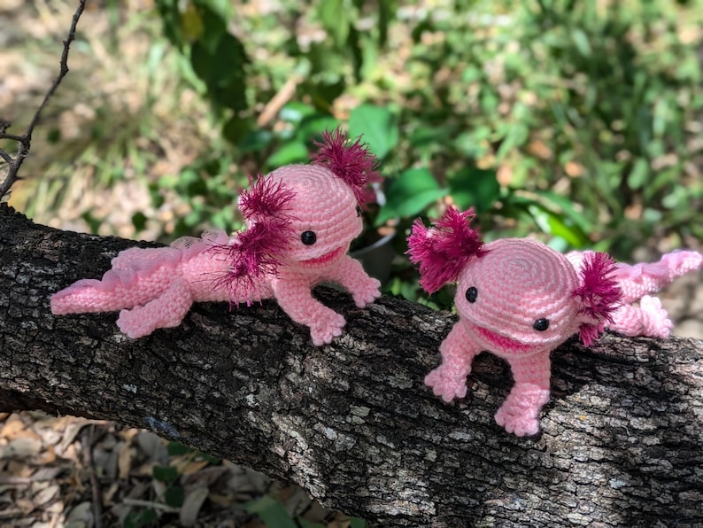 Może przedstawiać: Dwa r&oacute;żowe pluszowe aksolotl szydełkowe z r&oacute;żowymi i białymi detalami. Axolotl siedzą na gałęzi drzewa.