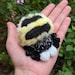 Amber Donegan