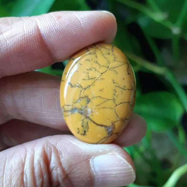 Yellow Dendritic Agate (High Quality Australian Agate) **Price is for one crystal**