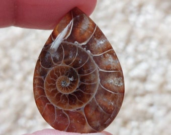 May include: A brown and white ammonite fossil pendant with a spiral pattern. The pendant is teardrop shaped and has a polished finish.