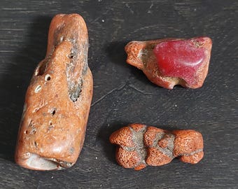 生の竹珊瑚：強力なエネルギー - Etsy 日本