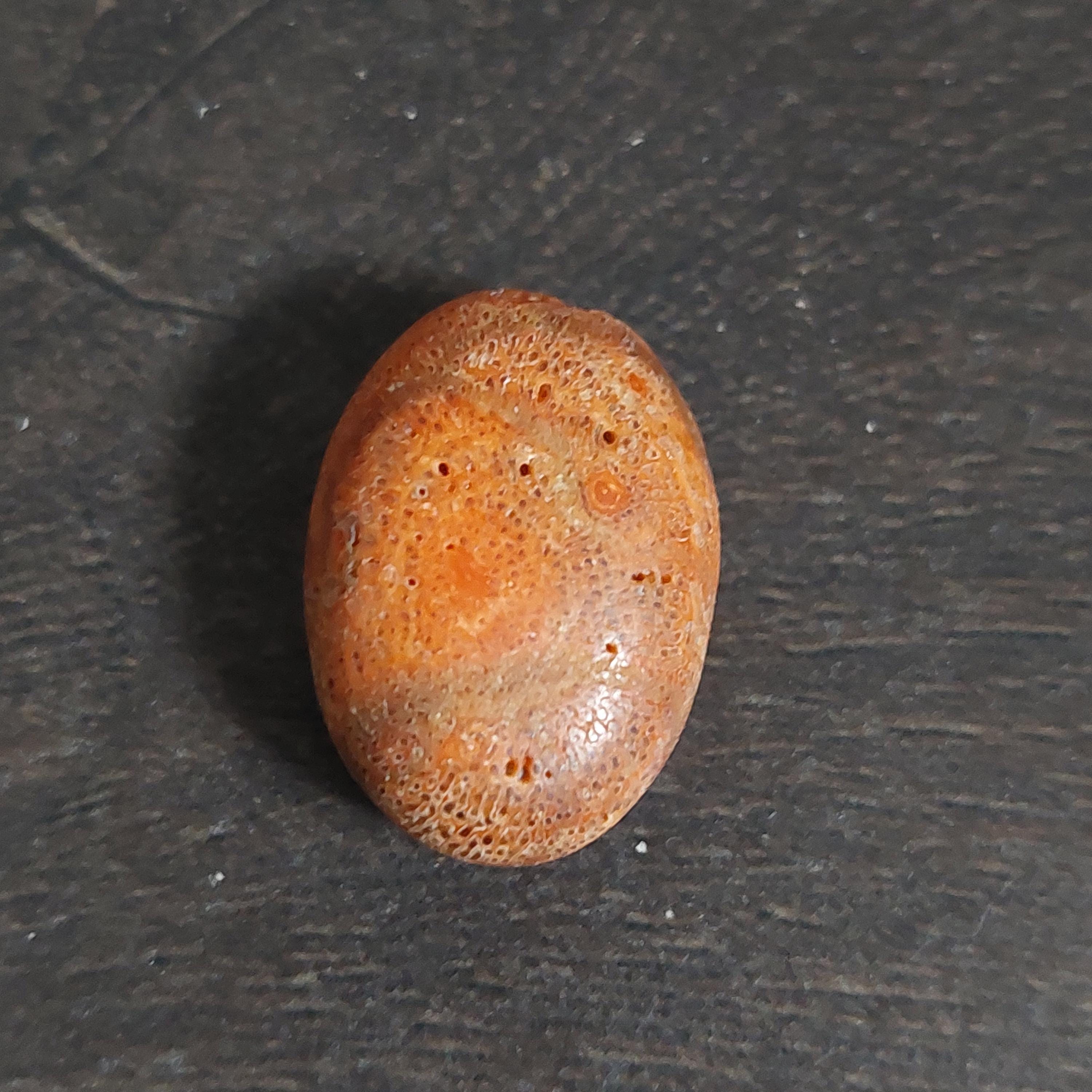 生の竹珊瑚：強力なエネルギー - Etsy 日本