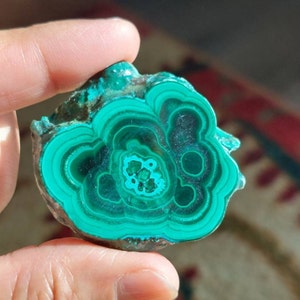 Malacolla SLICES (Malachite-Chrysocolla) - AAA grade **Price is for one crystal**