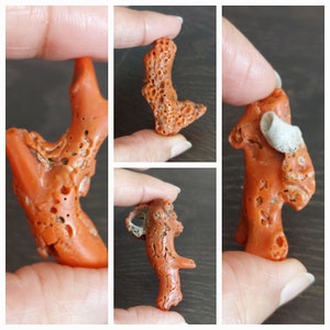 Japanese Red Coral [Raw, Premium Quality] **Price is for one piece**