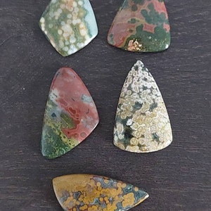 May include: Five irregularly shaped, polished, green, brown, and white ocean jasper stones. The stones have a variety of patterns and colors, including white spots, brown swirls, and green veins.