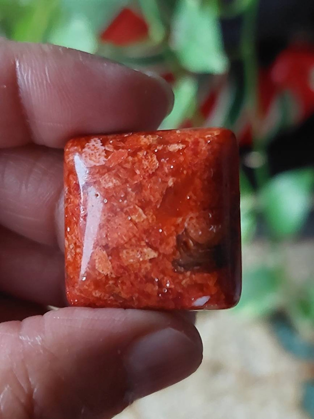 Cabochons van sponskoraal: Australisch; Magische kristallen - Etsy België, image size:1080x1440