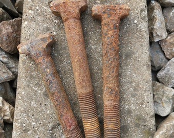 Rusty old bolts SET of 2, rusted screws, rustic decoration, old railroad spikes, railroad  bolts, corrosion patina screws.