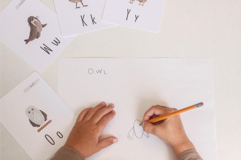 Puede incluir: Una mano de ni&ntilde;o dibuja un b&uacute;ho en una hoja de papel blanca. La palabra "OWL" est&aacute; escrita encima del dibujo. Hay varias tarjetas de letras en la mesa, incluida una tarjeta con un b&uacute;ho y la letra "O".