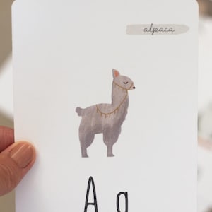 Puede incluir: Una tarjeta blanca con una ilustraci&oacute;n de acuarela de una alpaca gris con un collar dorado. La tarjeta tambi&eacute;n tiene la palabra "alpaca" escrita en cursiva negra y las letras "A a" en negro.