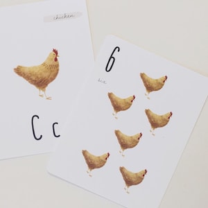 Alphabet animal - Ensemble de cartes de numéro d’animal ABC Flashcards, Alphabet Flashcards, Nursery Decor, Playroom Decor, Homeschool