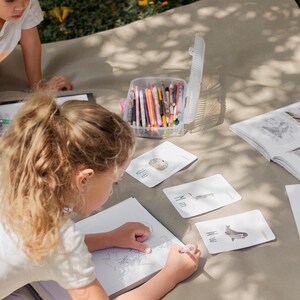 Puede incluir: Dos ni&ntilde;os est&aacute;n sentados en una manta y dibujando. Un ni&ntilde;o est&aacute; dibujando en un cuaderno de bocetos y el otro est&aacute; coloreando en un libro para colorear. Hay varias tarjetas de memoria con im&aacute;genes de animales en ellas. Tambi&eacute;n hay un contenedor de l&aacute;pices de colores.