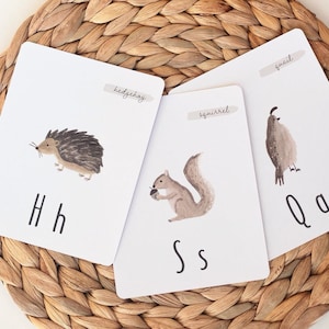 Animal Alphabet Cards | ABC Flashcards, Montessori, Alphabet Flashcards, Nursery Decor, Playroom Decor, Homeschool