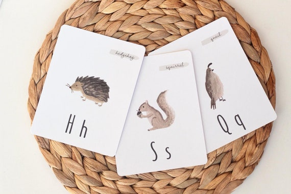 Animal Alphabet Cards | ABC Flashcards, Montessori, Alphabet Flashcards, Nursery Decor, Playroom Decor, Homeschool