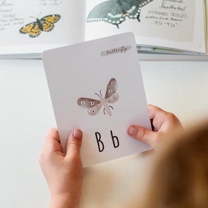 Puede incluir: Una tarjeta blanca con una ilustraci&oacute;n de mariposa marr&oacute;n y las letras "Bb" escritas en negro. La tarjeta tiene la palabra "mariposa" escrita en un rect&aacute;ngulo marr&oacute;n claro en la parte superior.