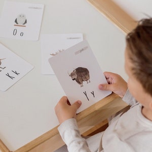 Puede incluir: Un ni&ntilde;o sostiene una tarjeta blanca con una ilustraci&oacute;n de un yak marr&oacute;n y blanco y las letras "YY" escritas debajo. La tarjeta es parte de un conjunto de tarjetas de memoria del alfabeto con animales.