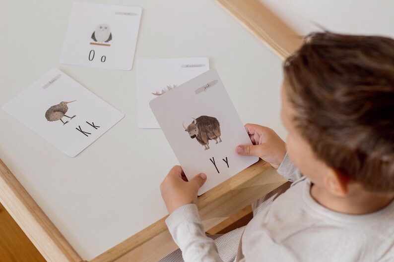 Puede incluir: Un ni&ntilde;o sostiene una tarjeta blanca con una ilustraci&oacute;n de un yak marr&oacute;n y blanco y las letras "YY" escritas debajo. La tarjeta es parte de un conjunto de tarjetas de memoria del alfabeto con animales.